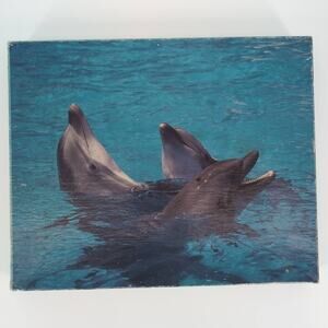 Vintage Dolphins 550 Interlocking Pieces Jigsaw Puzzle - Good Used Condition